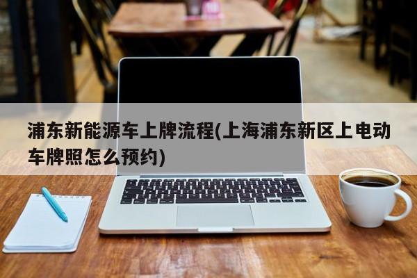 浦东新能源车上牌流程(上海浦东新区上电动车牌照怎么预约)