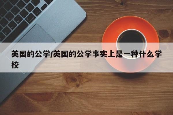 英国的公学/英国的公学事实上是一种什么学校