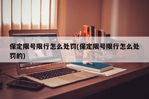 保定限号限行怎么处罚(保定限号限行怎么处罚的)