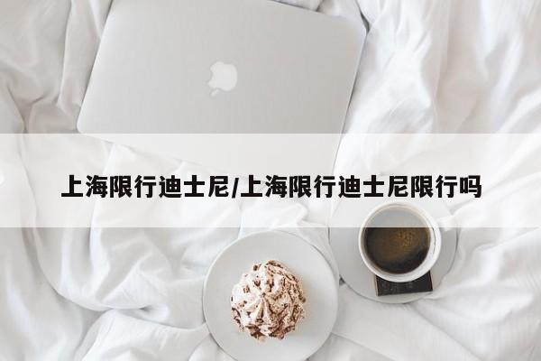 上海限行迪士尼/上海限行迪士尼限行吗