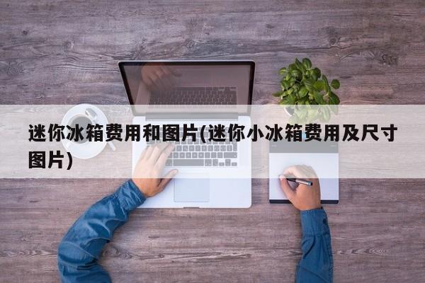 迷你冰箱费用和图片(迷你小冰箱费用及尺寸图片)