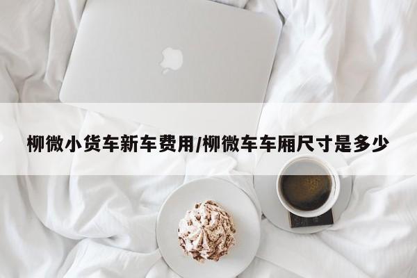 柳微小货车新车费用/柳微车车厢尺寸是多少